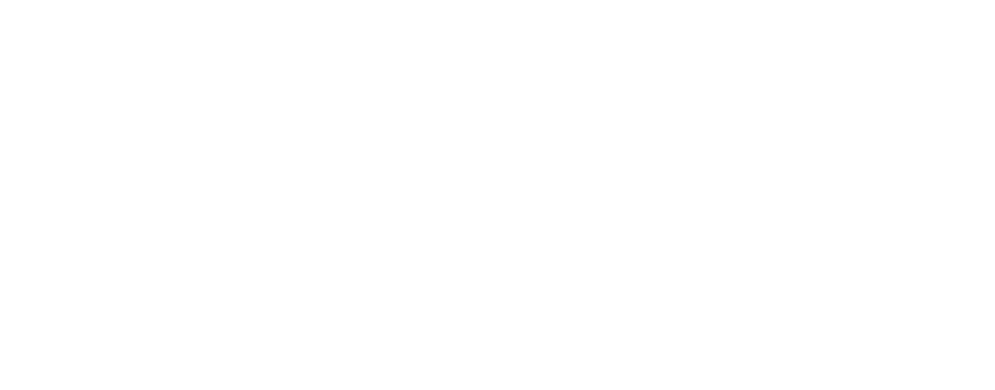 Rio Bravo Systems